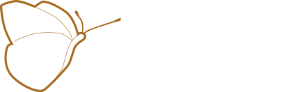 Annette Scholz, Dein AstroCoach